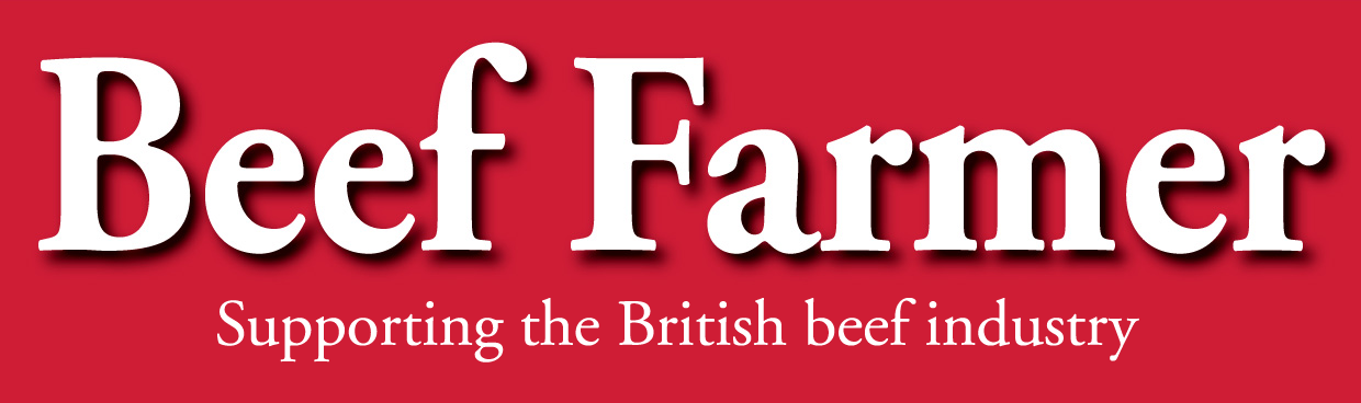 Beef Farmer logo