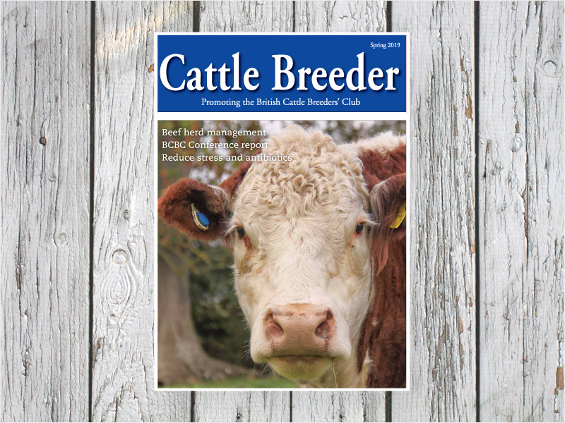 Cattle Breeder publication from Shepherd Publishing
