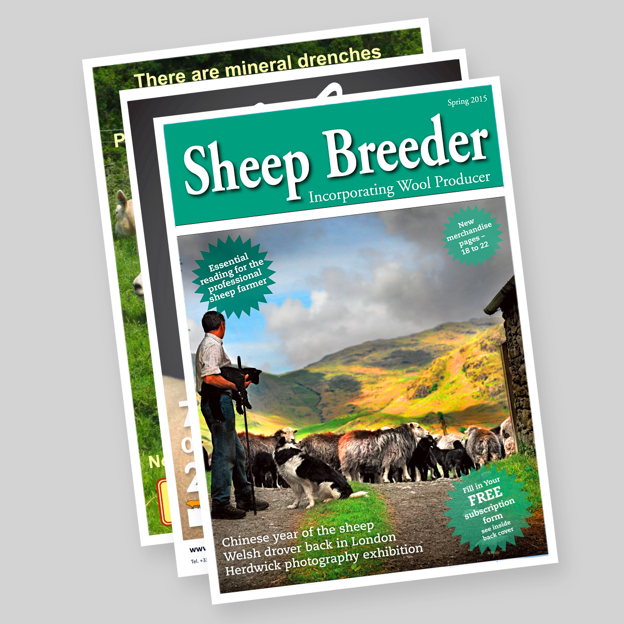 Shepherd Publishing publications